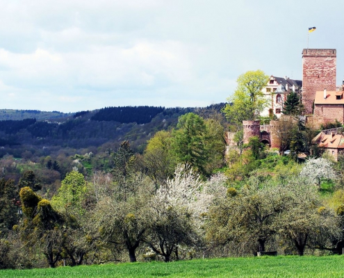 Burg Gamburg